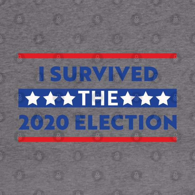 I Survived the 2020 Election by Araich